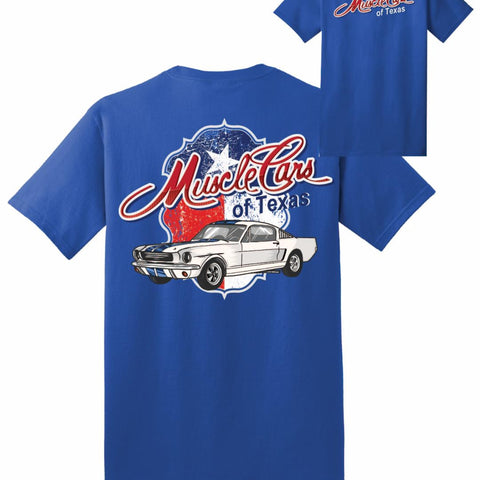 Blue w/white car on Texas sign